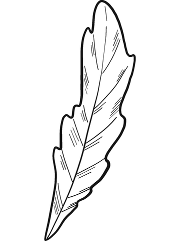 Daisy Leaf Coloring Page